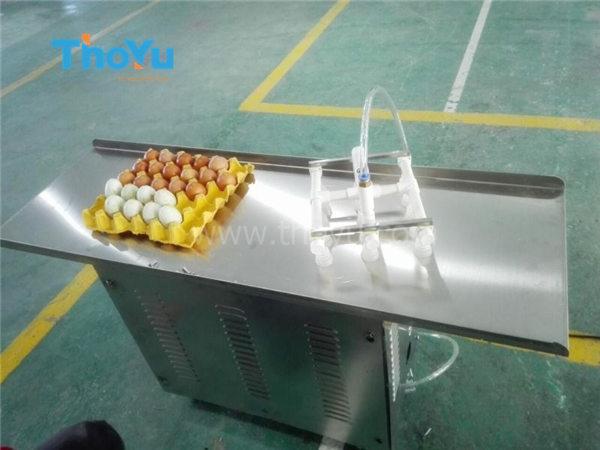 Egg grading machine sold to Chile at the beginning of 2016