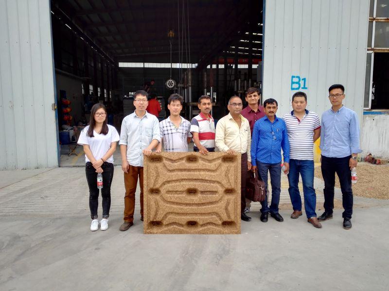 India clients highly praised Thoyu quality press wood pallet machine