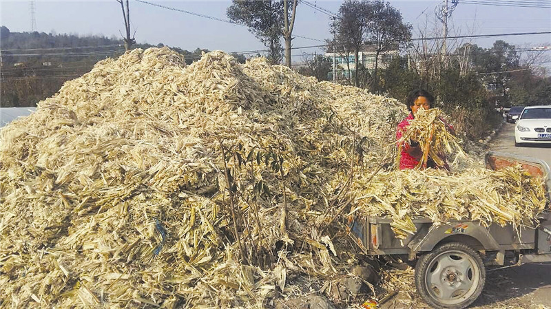 Hoe foarme pallets te meitsjen fan Bagasse (7)