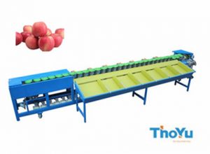 apple weight grading machine