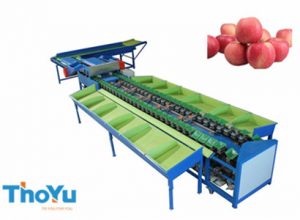 automatic apple weight grading machine