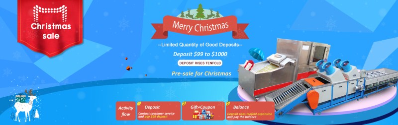 fruit grading machine Christmas sale