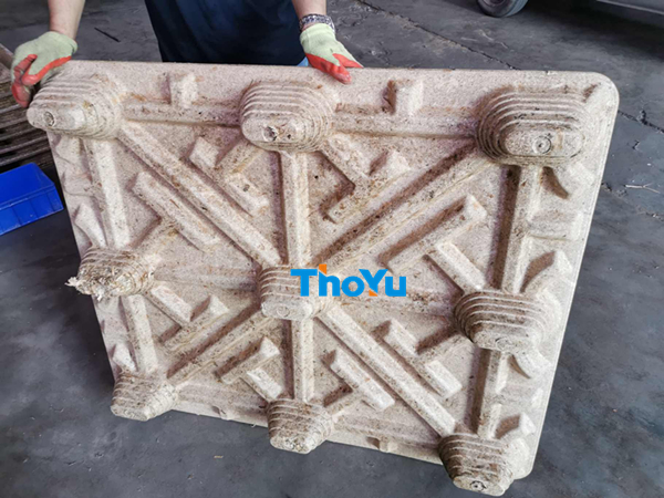 sugarcane bagasse pallet