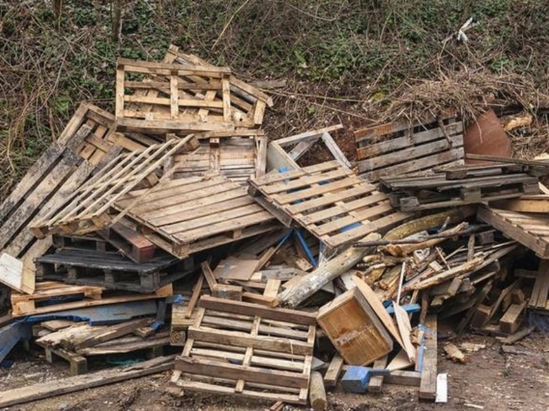 Abandoned-wooden-pallets
