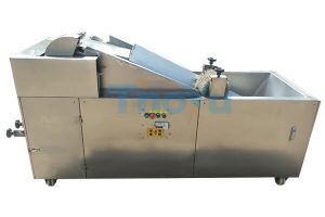 automatic lemon slicing machine